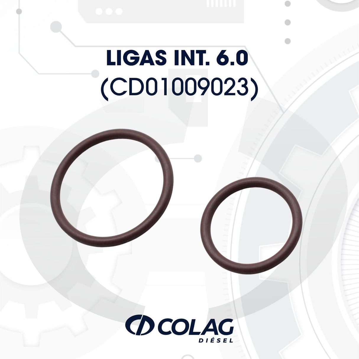 LIGAS INT. 6.0