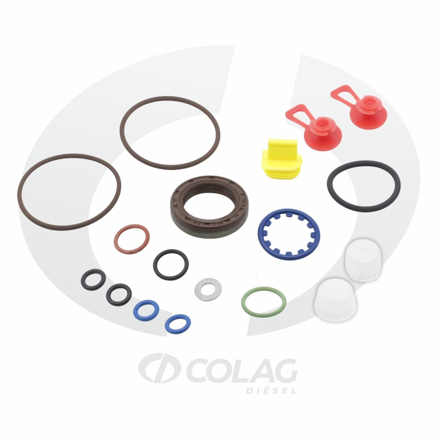 KIT DE REPARACION BOMBA CP4 1 ELEMENTO