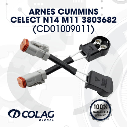 ARNES CUMMINS CELECT N14 - M11