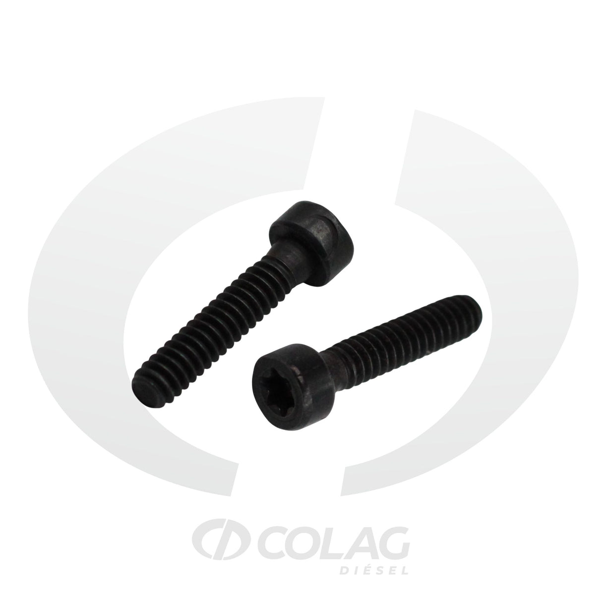 TORNILLO DE PLACA DE INDUCIDO HEUI