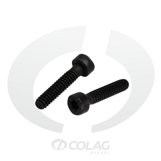 TORNILLO DE PLACA DE INDUCIDO HEUI