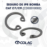 SEGURO DE IPR BOMBA CAT