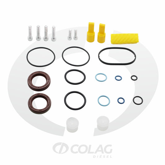 KIT DE REPARACIÓN DE BOMBA CP4 2 ELEMENTOS CP4 2 ELEMENTOS CD02009012