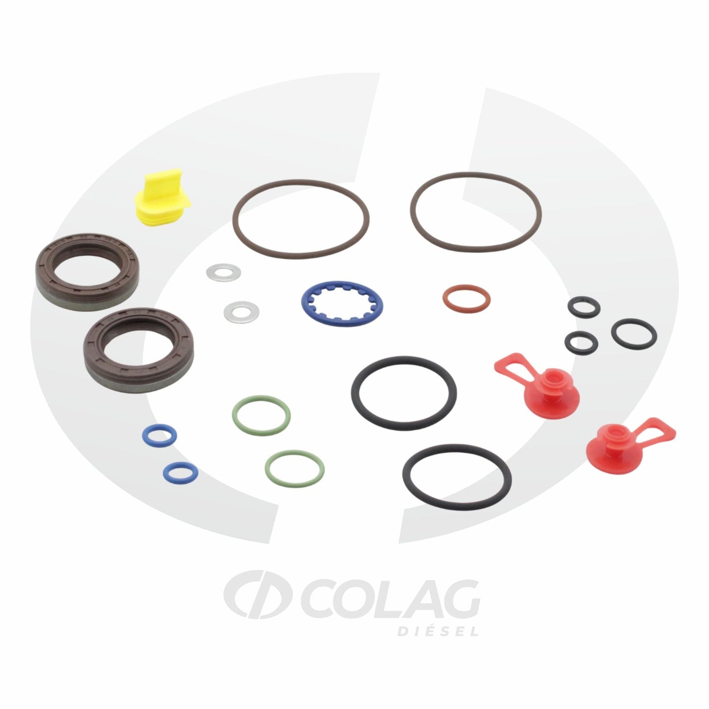 KIT DE REPARACIÓN BOMBA CP4 2 ELEMENTO