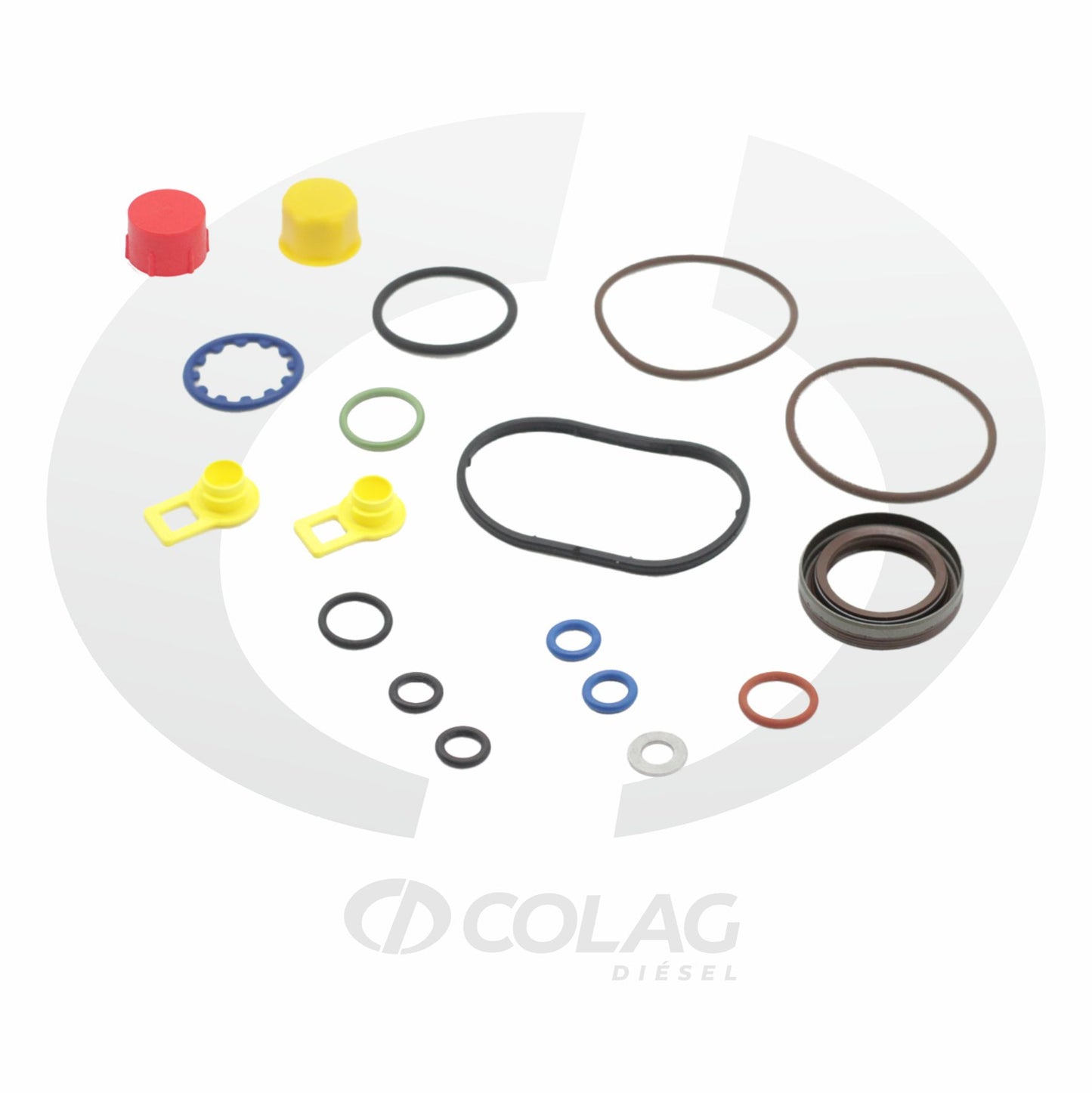 KIT DE REPARACION BOMBA CP4 CON TRANSFERENCIA CD02009013