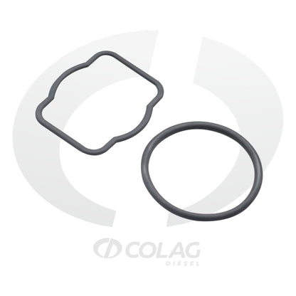 LIGA INT C12 C15 CD01009038
