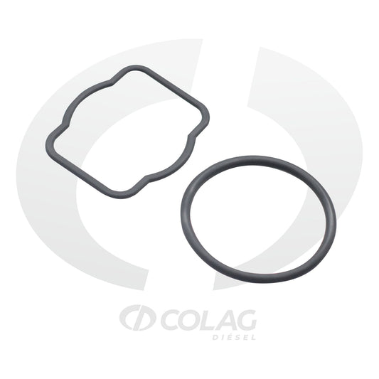 LIGA INT C12 C15 CD01009038