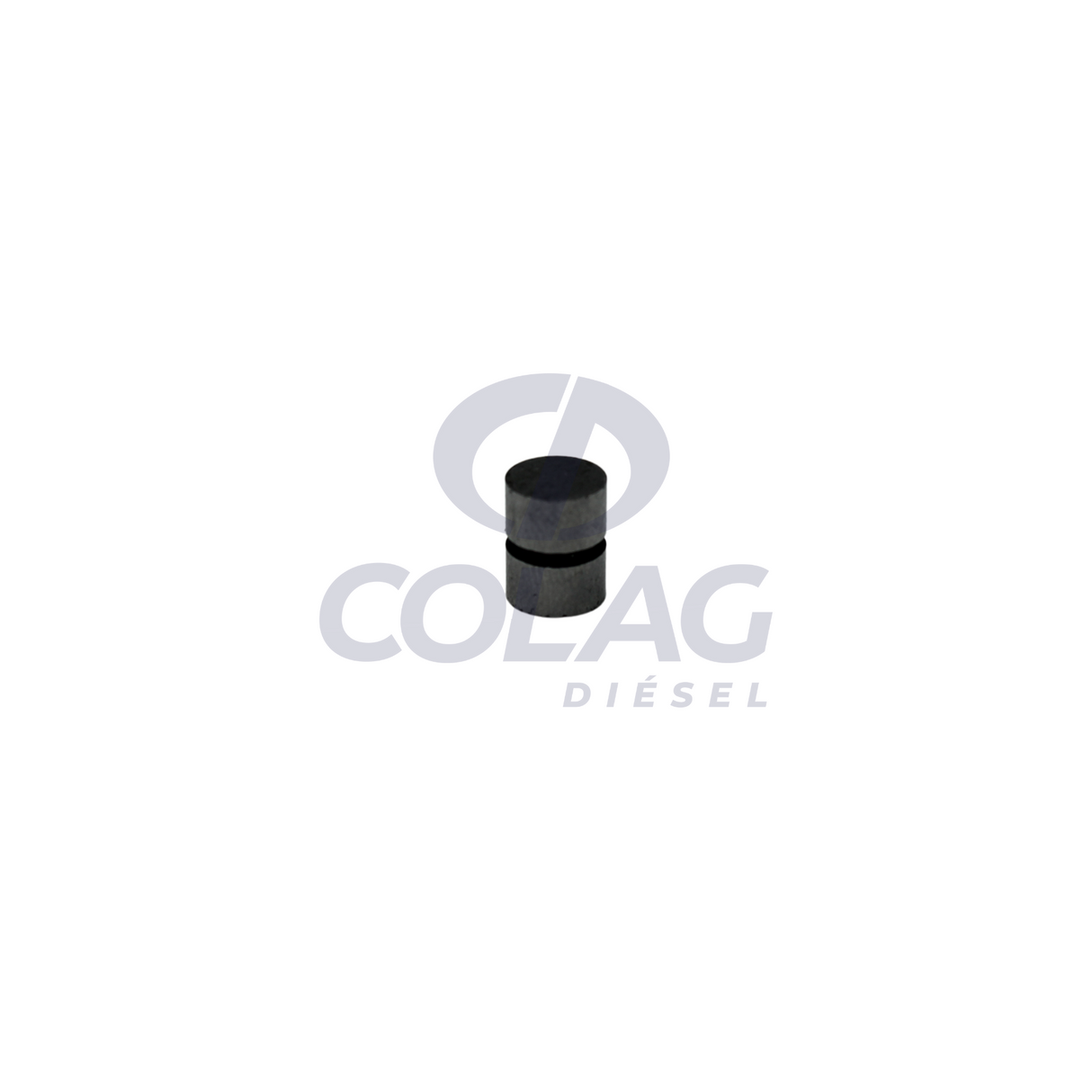 PISTON PRESION PLACA EXTREMA DELPHI CAV