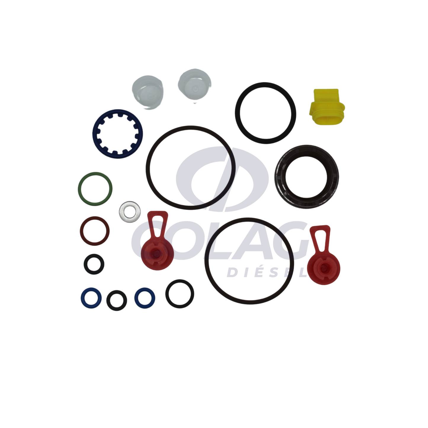 KIT DE REPARACION BOMBA CP4 1 ELEMENTO CD02009009